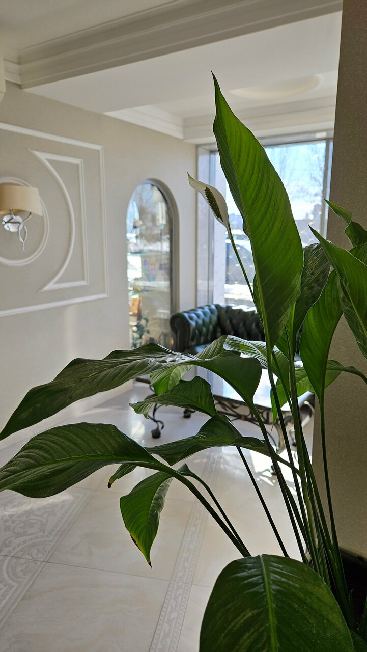 Гостиница Волга Тверь-61