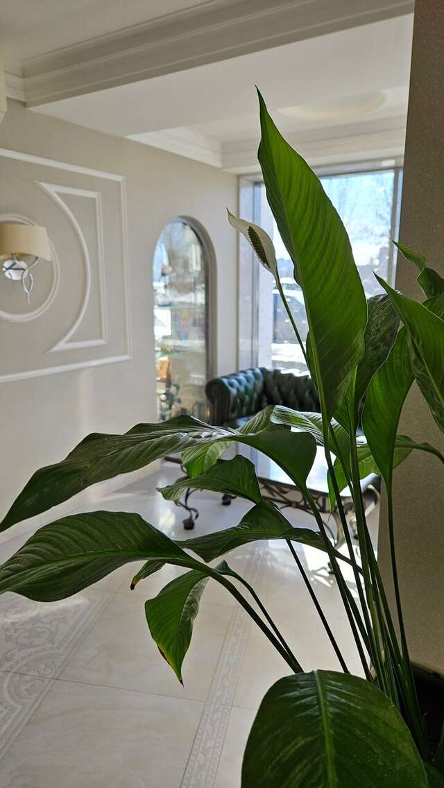 Гостиница Волга Тверь-60